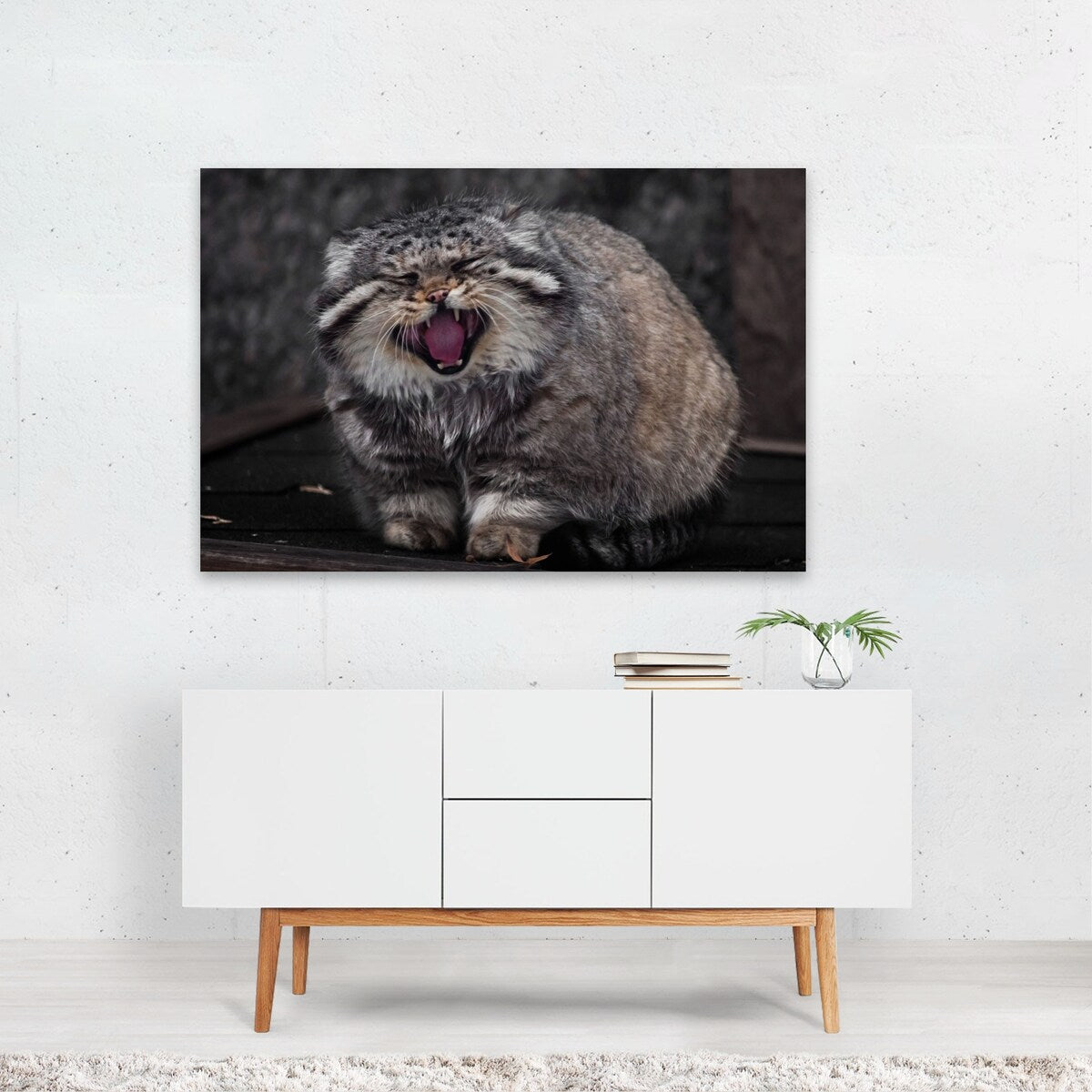 Photography Animals Cat Cute Manul Nature Portrait Art Print/Poster