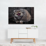 Photography Animals Cat Cute Manul Nature Portrait Art Print/Poster