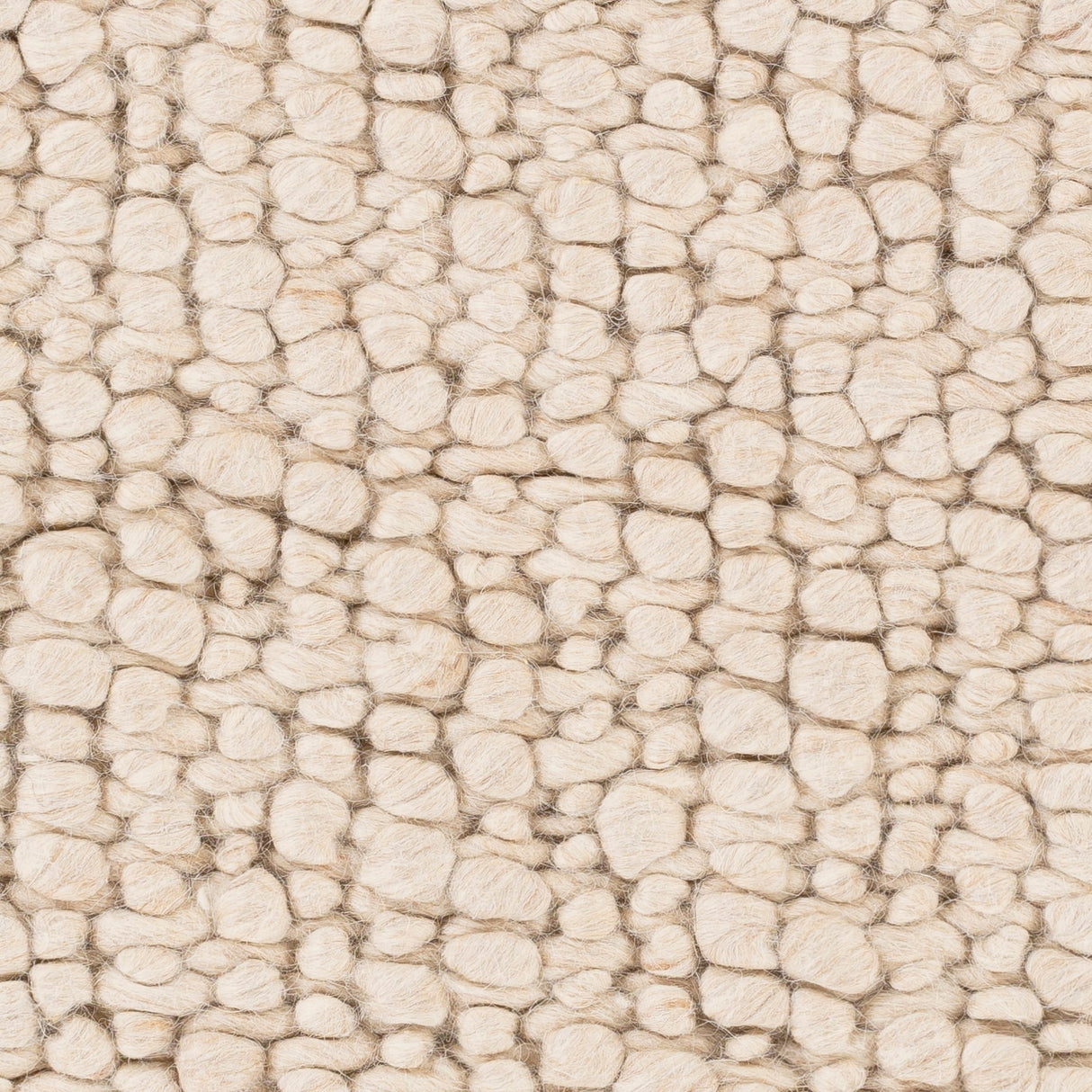 Phyllida Texture Area Rug