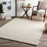 Phyllida Texture Area Rug