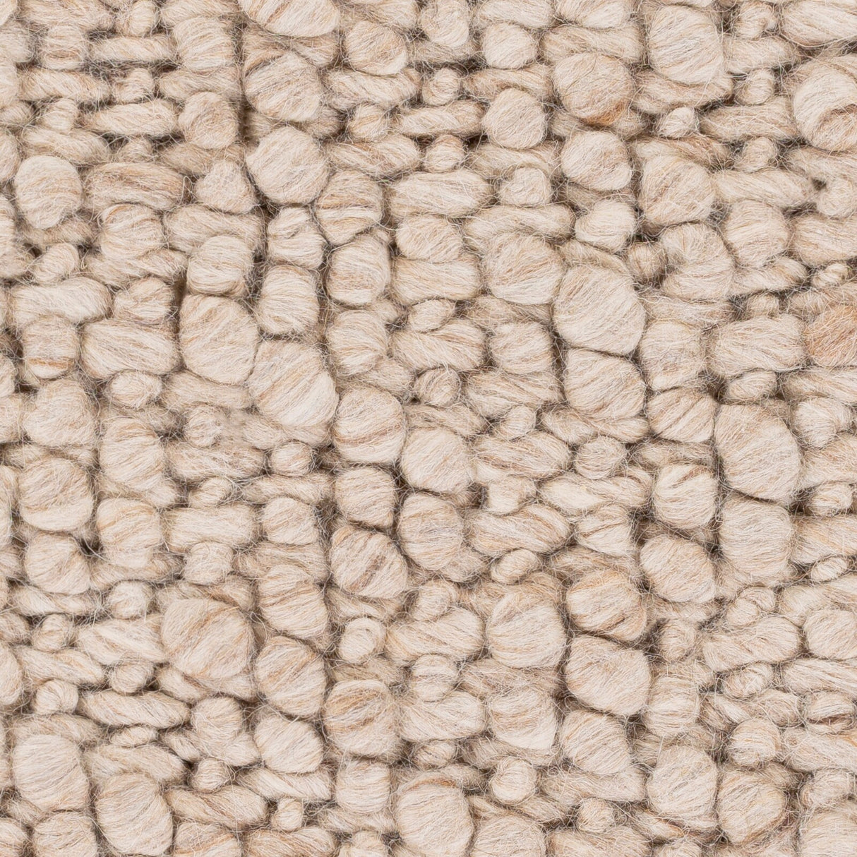 Phyllida Texture Area Rug