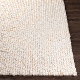 Phyllida Texture Area Rug