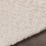 Phyllida Texture Area Rug
