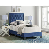 Picket House Furnishings Teagan Upholstered Platform Bed in Blush