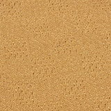 Pinchas Indoor Border Area Rug by Christopher Knight Home - 7'10 x 10'10
