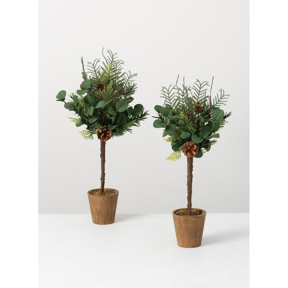Sullivans Pine Eucalyptus Topiary - Set of 2