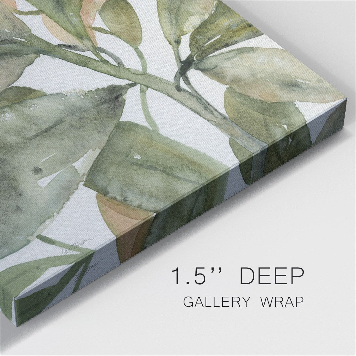 Plantlife II-Gallery Wrapped Canvas