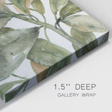 Plantlife II-Gallery Wrapped Canvas