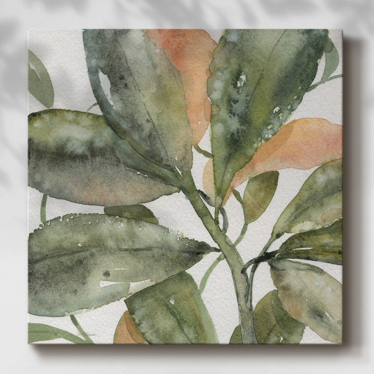Plantlife II-Gallery Wrapped Canvas