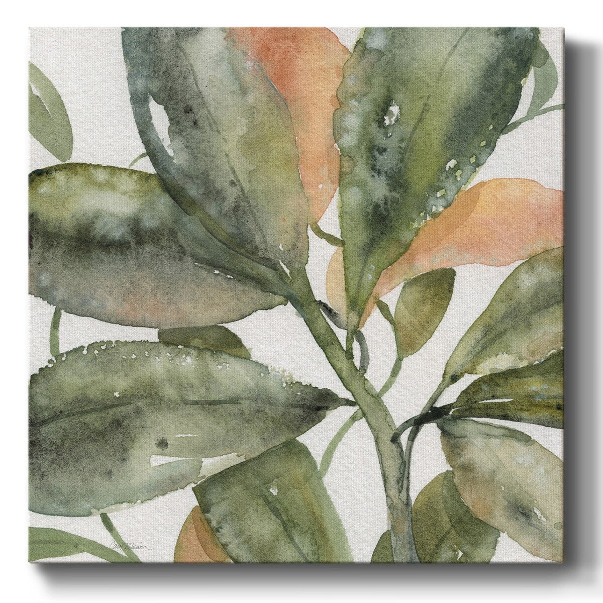 Plantlife II-Gallery Wrapped Canvas