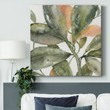 Plantlife II-Gallery Wrapped Canvas