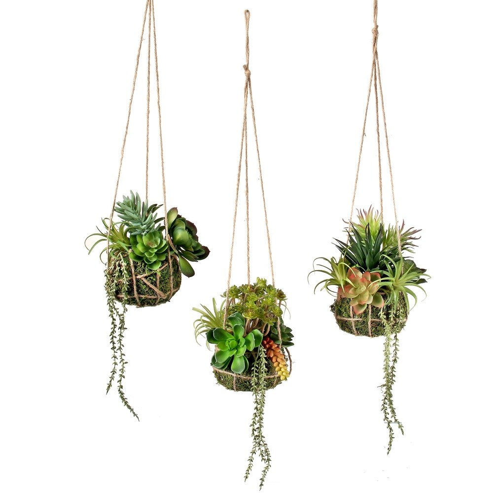 Plastic Hanging Succulent In Root Ball 24" 3 Piece Set