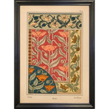 Plate 06 - Poppy-VINAPP115288 Print 24"x17" by Vintage Apple Collection