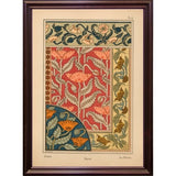 Plate 06 - Poppy-VINAPP115288 Print 24"x17" by Vintage Apple Collection