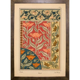 Plate 06 - Poppy-VINAPP115288 Print 24"x17" by Vintage Apple Collection