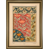 Plate 06 - Poppy-VINAPP115288 Print 24"x17" by Vintage Apple Collection
