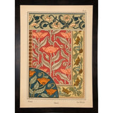 Plate 06 - Poppy-VINAPP115288 Print 24"x17" by Vintage Apple Collection