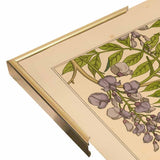 Plate 46 - Glycine-VINAPP115326 Print 34.5"x24.5" by Vintage Apple Collection