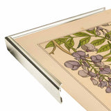 Plate 46 - Glycine-VINAPP115326 Print 34.5"x24.5" by Vintage Apple Collection
