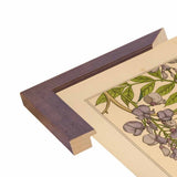 Plate 46 - Glycine-VINAPP115326 Print 34.5"x24.5" by Vintage Apple Collection
