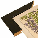Plate 46 - Glycine-VINAPP115326 Print 34.5"x24.5" by Vintage Apple Collection