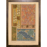 Plate 57 - Monks-hood-VINAPP115337 Print 24"x17" by Vintage Apple Collection