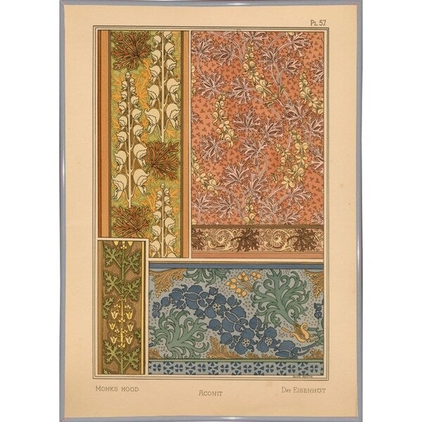 Plate 57 - Monks-hood-VINAPP115337 Print 24"x17" by Vintage Apple Collection