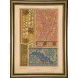 Plate 57 - Monks-hood-VINAPP115337 Print 24"x17" by Vintage Apple Collection