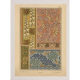 Plate 57 - Monks-hood-VINAPP115337 Print 24"x17" by Vintage Apple Collection