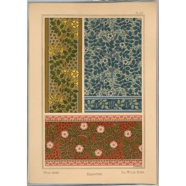 Plate 69 - Wild Rose-VINAPP115349 Print 34.5"x24.5" by Vintage Apple Collection