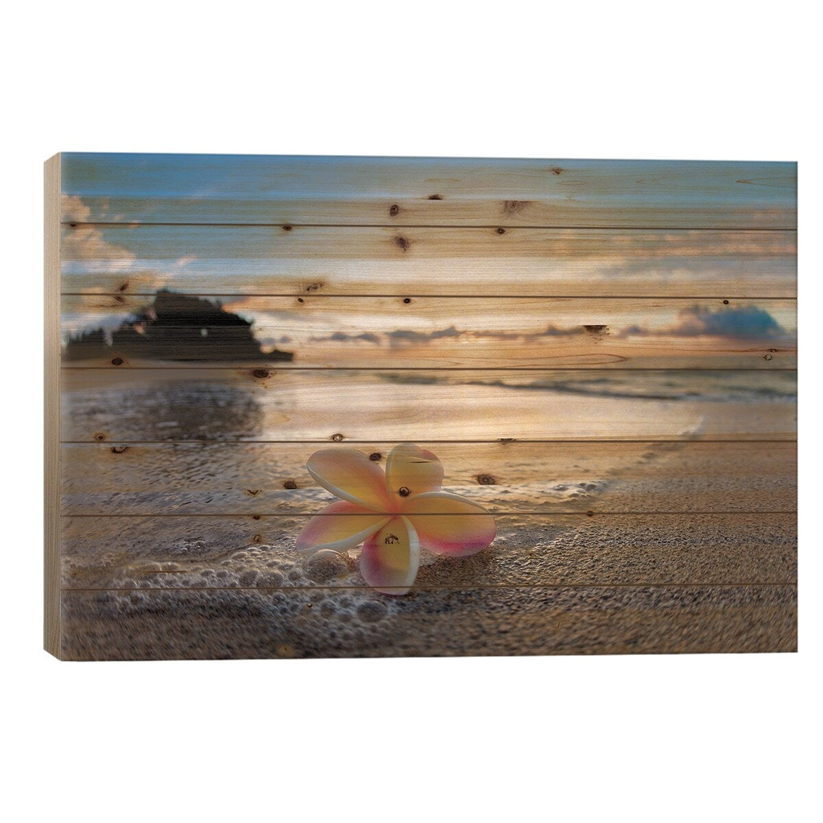 Plumeria Shore Print On Wood by Sean Davey - Multi-Color