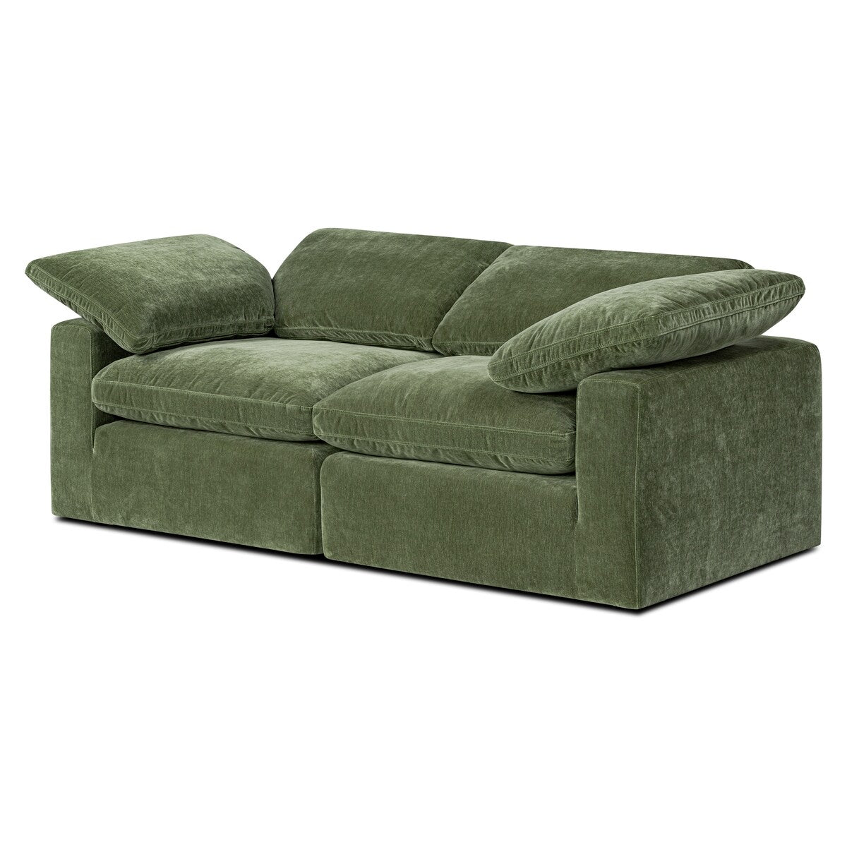 Poly and Bark 2-Seat Aspen Modular Sofa
