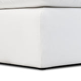 Poly and Bark 2-Seat Aspen Modular Sofa