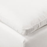 Poly and Bark 2-Seat Aspen Modular Sofa