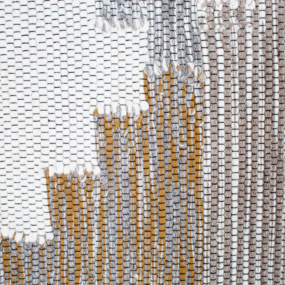 Poly and Bark Erico Area Rug