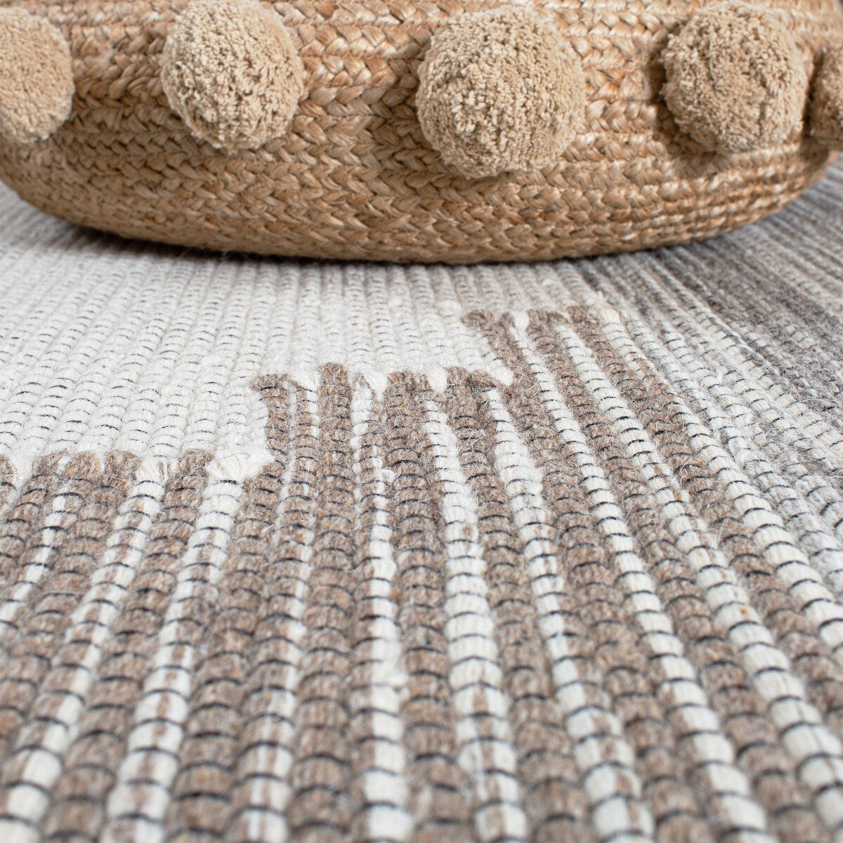 Poly and Bark Erico Area Rug