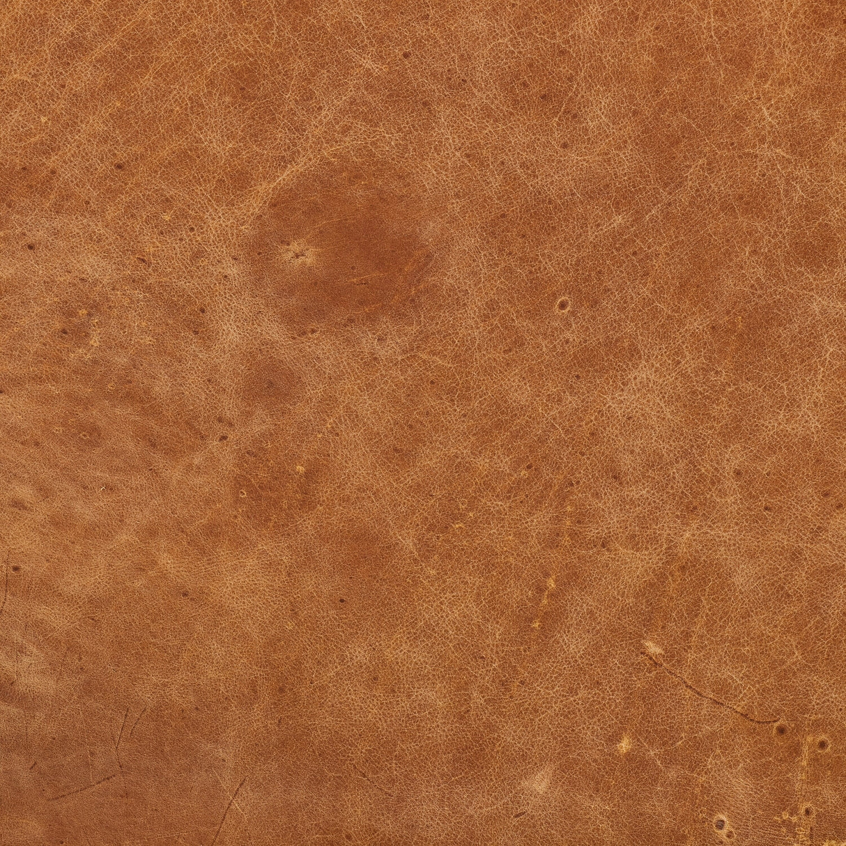 1185121715
