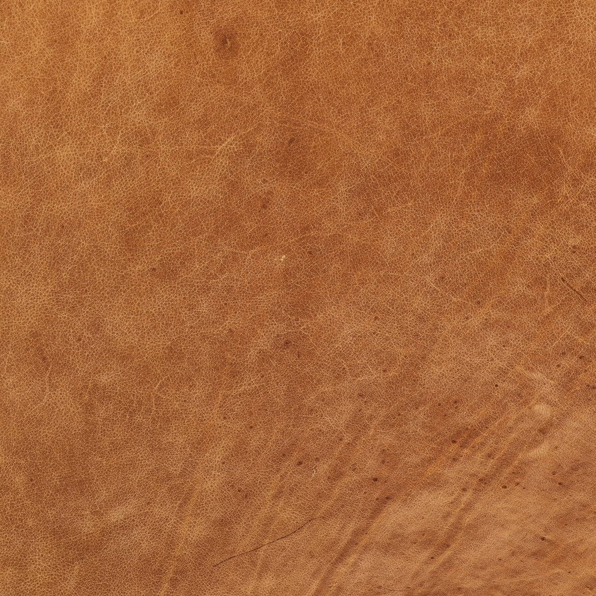 1185121714