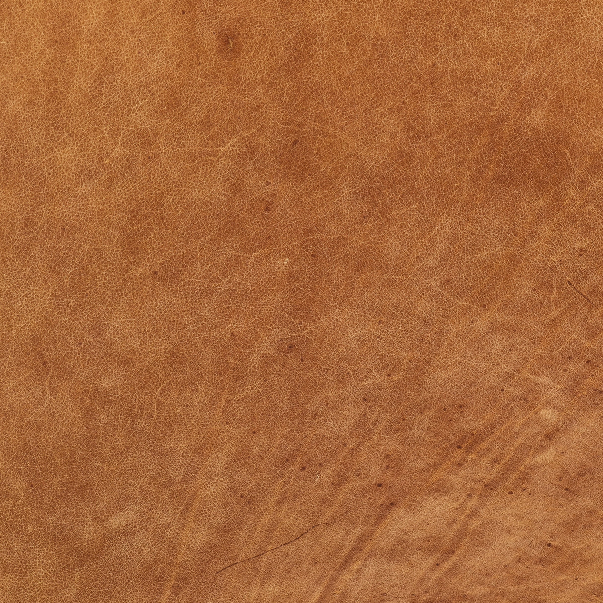 1187141443