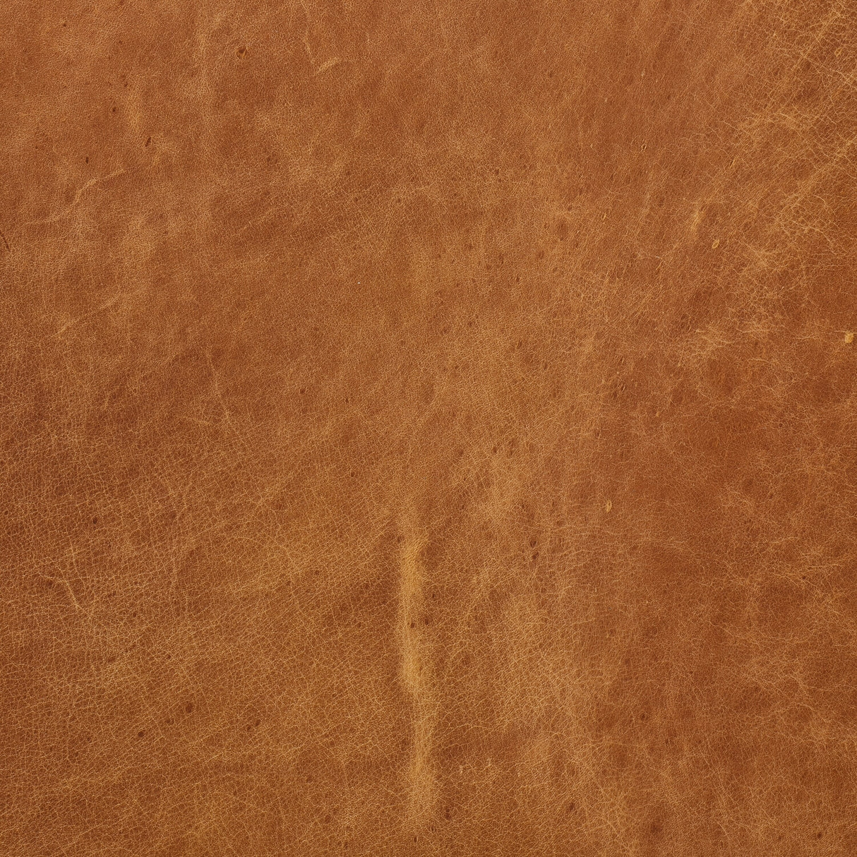 1187141445