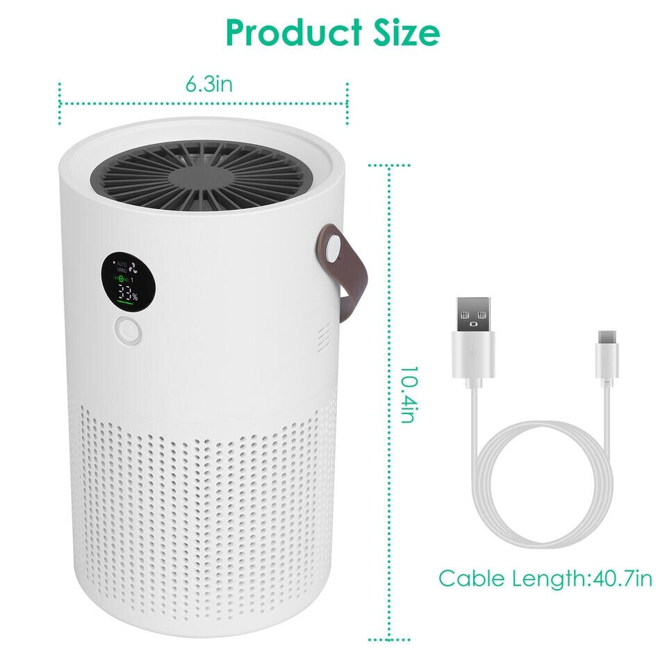 Portable Anion Air Purifier