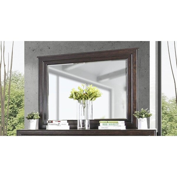 Moso Transitional Espresso 2-piece 6-Drawer Dresser and Mirror Set by Furniture of America