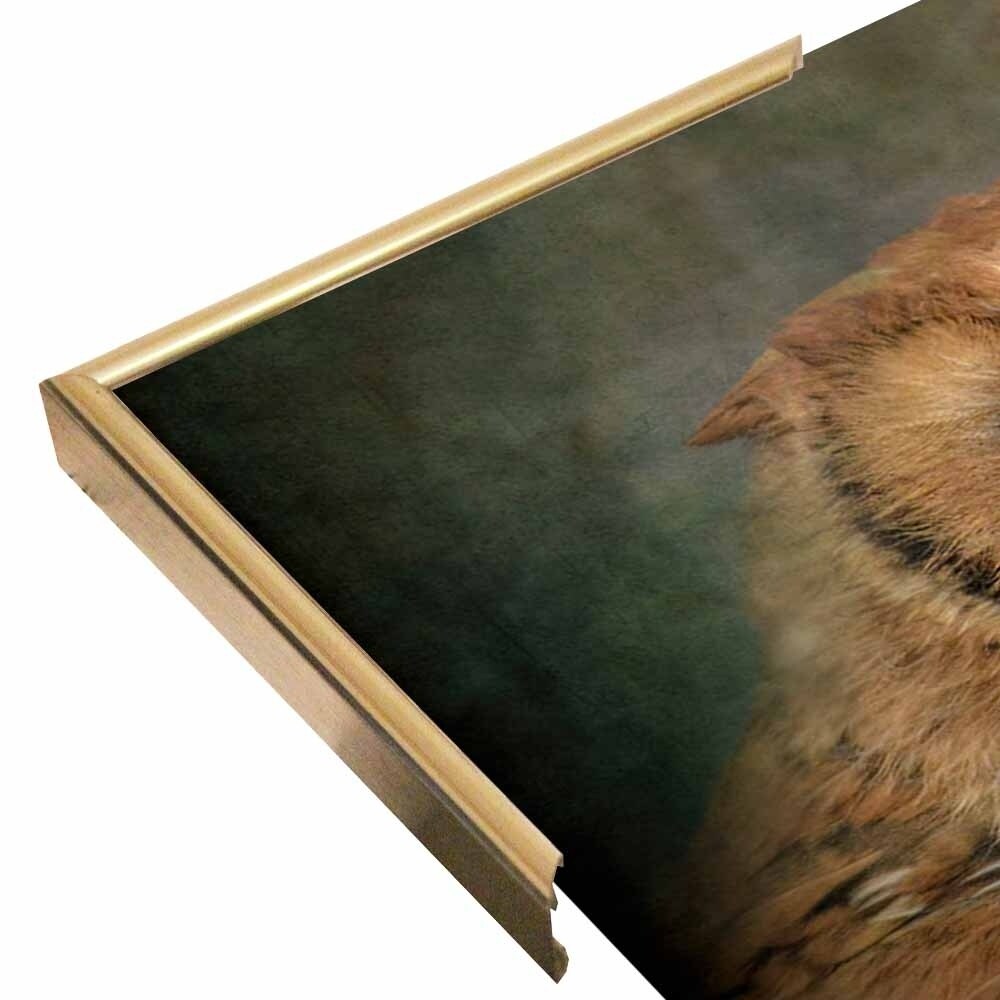 Portrait Of An Eastern Screech Owl-JAIJOH139864 Print 13.25"x20" by Jai Johnson