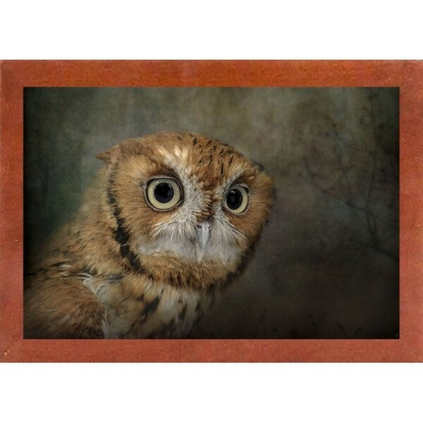 Portrait Of An Eastern Screech Owl-JAIJOH139864 Print 13.25"x20" by Jai Johnson
