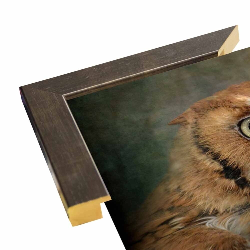 Portrait Of An Eastern Screech Owl-JAIJOH139864 Print 13.25"x20" by Jai Johnson