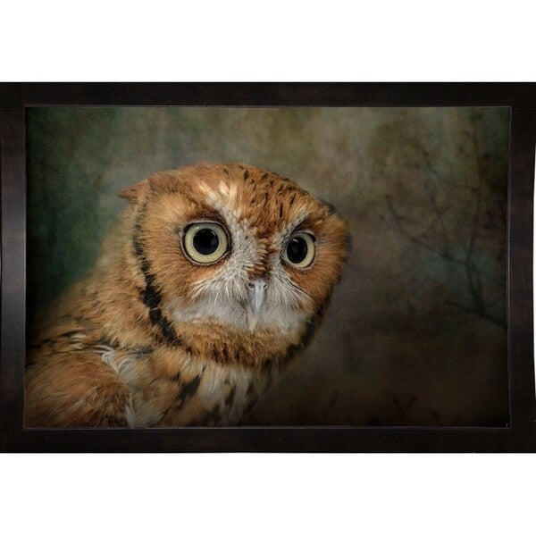 Portrait Of An Eastern Screech Owl-JAIJOH139864 Print 13.25"x20" by Jai Johnson