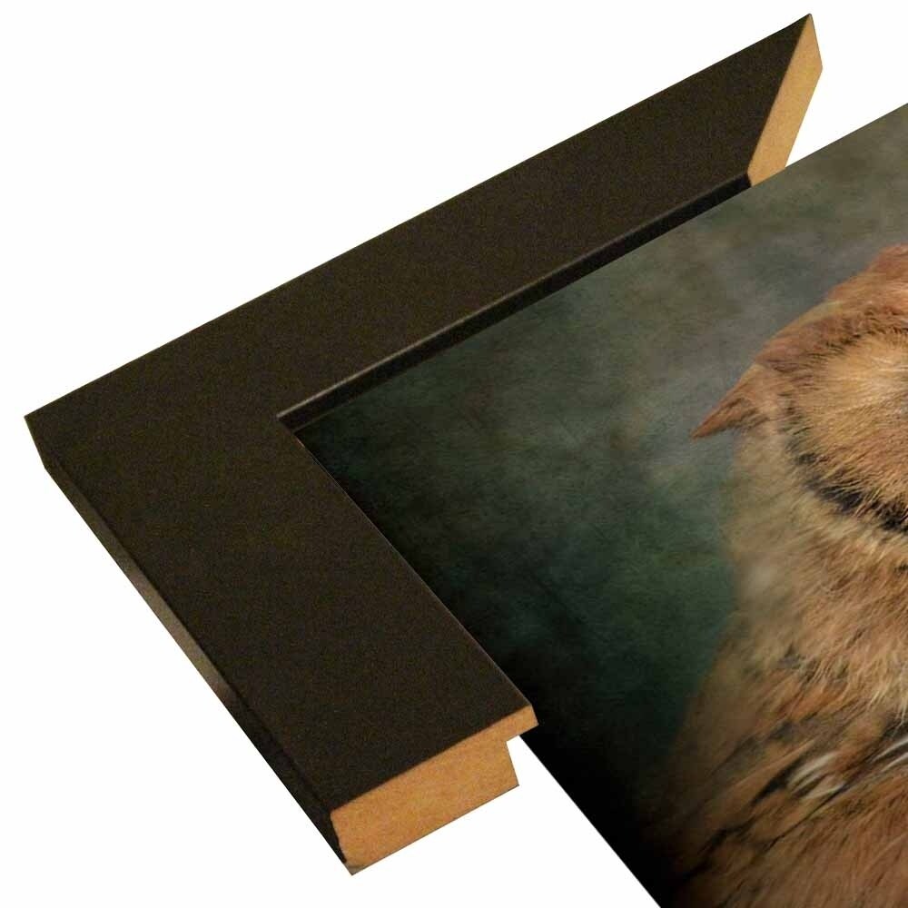 Portrait Of An Eastern Screech Owl-JAIJOH139864 Print 13.25"x20" by Jai Johnson