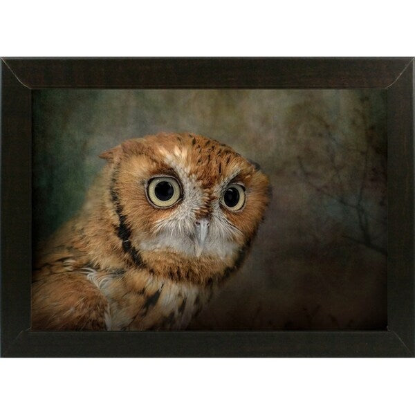 Portrait Of An Eastern Screech Owl-JAIJOH139864 Print 13.25"x20" by Jai Johnson