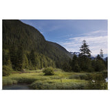 "Bedwell sound mountains and forest, Columbia" Poster Print - Multi