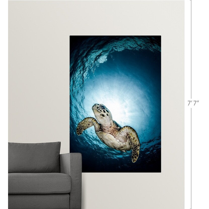 "Cayman Sun ball turtle" Poster Print - Multi